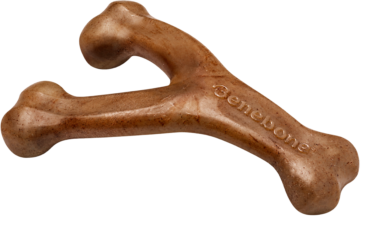 Benebone Bacon Wishbone Dog Chew Toy — Medium — transparent background