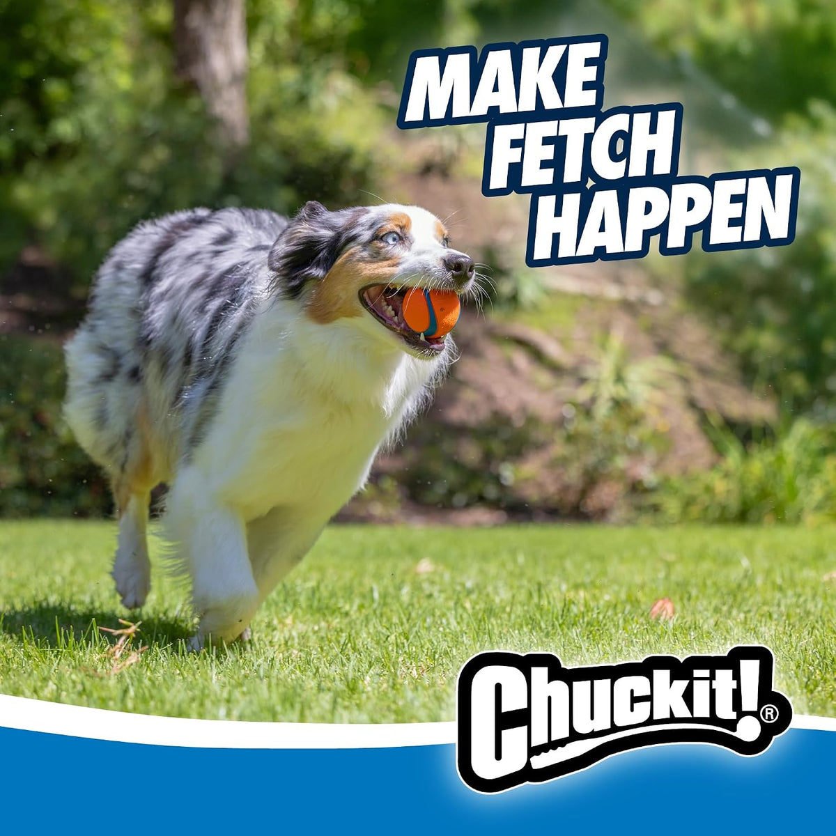 Chuckit! Ultra Ball Dog Toy — Medium, 2 Pack — view 3