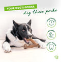 Benebone Bacon Wishbone Dog Chew Toy — Medium — view 3