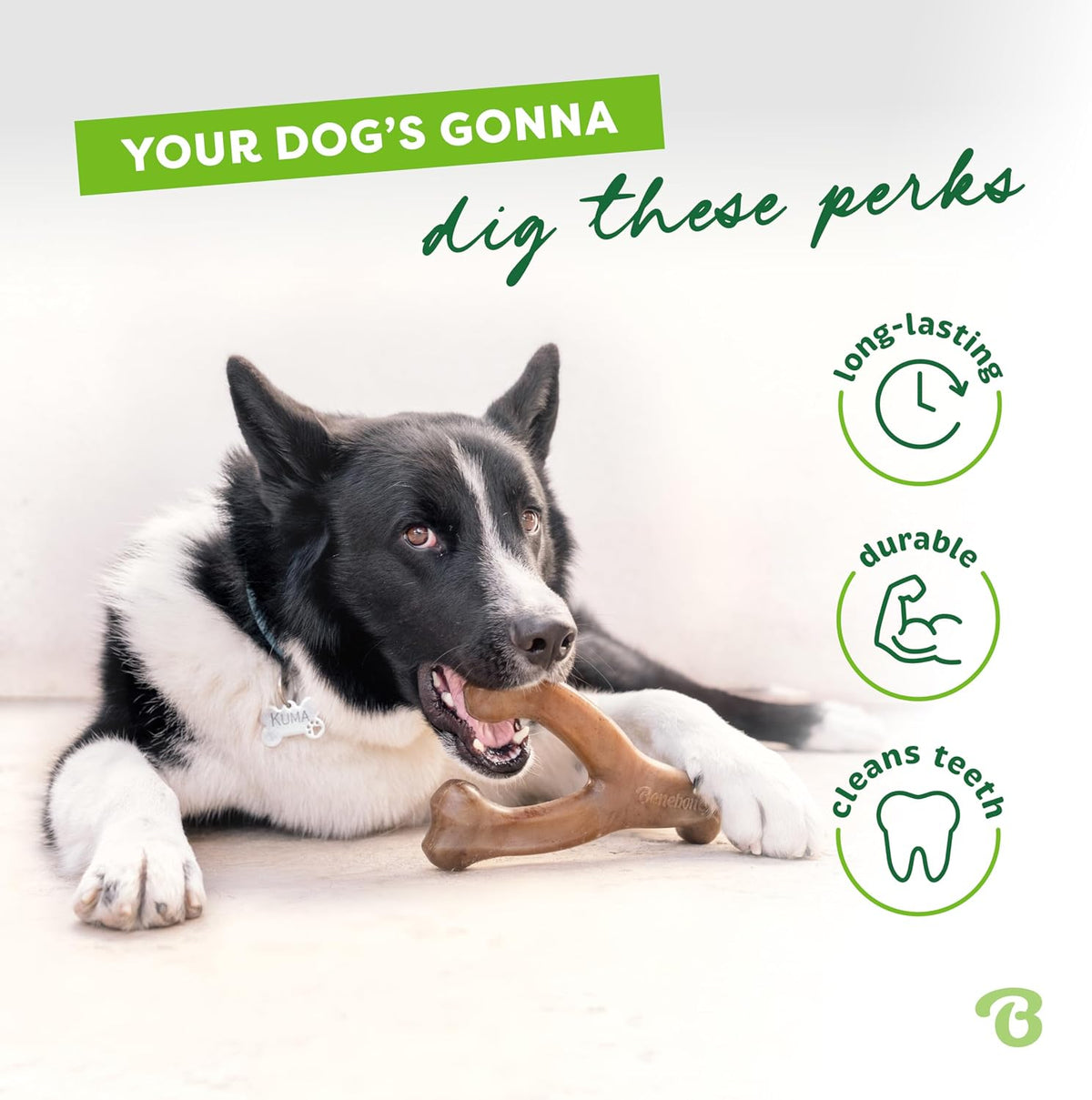 Benebone Bacon Wishbone Dog Chew Toy — Medium — view 3