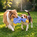 Best Pet Supplies Crinkle Duck Dog Toy — Blue — view 2